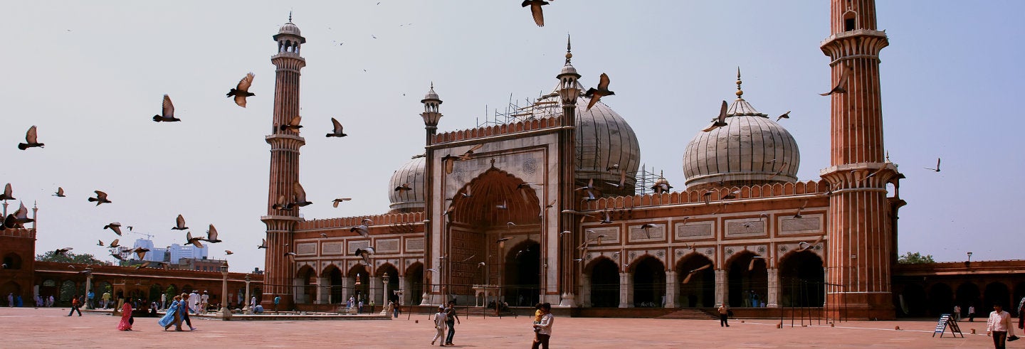 Qué ver y hacer en Delhi en 2 días.